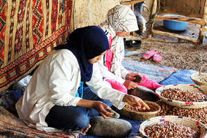 De Merzouga à la Vallée du Draa