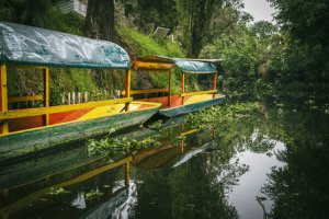 Jour 4 : Visite de Coyoacán et Xochimilco