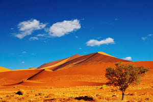 Visite de Sossusvlei