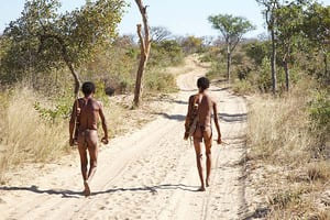 De Windhoek à Kalahari (4 h de route)