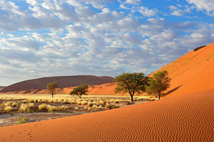 De Windhoek à Sossusvlei (5 h de route)