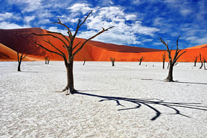 Visite de Sossusvlei