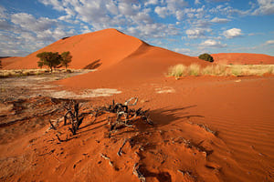 Du désert du Namib à l'aéroport de Windhoek (3h30 de route)