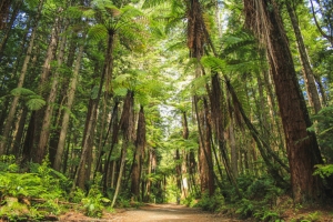 Journée libre à Hawke's Bay