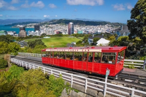 Visite de Wellington libre