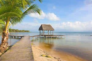 Jour 5 : Visite de Isla Bastimentos