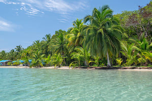 Jour 4 : De Panama city à Bocas del Toro en avion