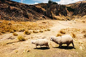 Jour 8 : De Chiclayo à Cajamarca (5h de route)