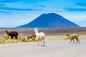 Jour 3 : D'Arequipa à Sicuani (6.5h de route)