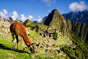 Jour 9 : De Machu Picchu à Cusco (en train)