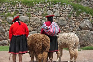 Jour 8 : Visite de Cusco