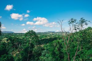 Jour 9 : Visite des environs de Jarabacoa