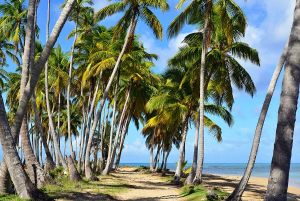 Jour 10 : De Jarabacoa à Cabarete