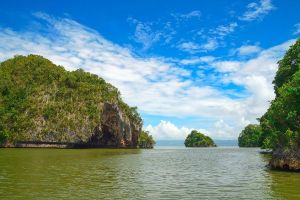 Jour 16 : Excursion en bateau au Parc national Los Haitises