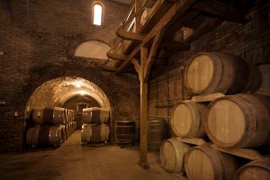 Jour 3 : Exploration des grottes et découverte du rhum dominicain
