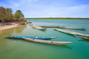 L'île aux coquillages, et vers Saly