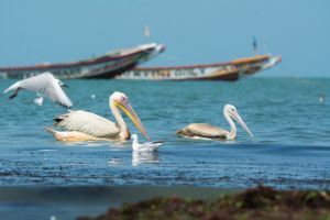 Vol vers la Casamance