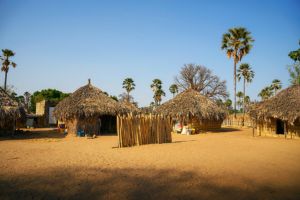 Vers le Ferlo, sur les traces des Peuls