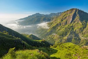 Jour 10 : De Bandarawela à Udawalawe (3 h de route)