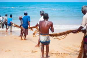 Jour 19 : Observation des baleines et Pigeon Island