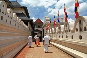 Jour 8 : De Nuwara Eliya à Kandy 