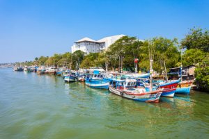 Jour 20 : De Triconmalee à Negombo (5 h de route)