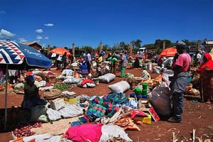 Jour 1 : De l'aéroport du Kilimanjaro à Moshi 