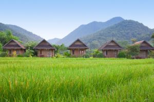 Jour 6 : De Chiang Dao à Pai 