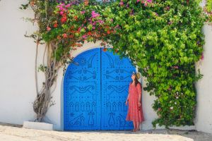 Visite du Musée du Bardo, Carthage et La Marsa