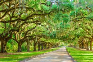 Jour 9 : Visite de Charleston