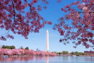 Jour 5 : De Philadelphie à Washington D.C