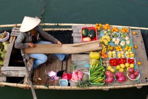 Jour 15 : Balade sur le Mékong et marché flottant de Cai Be