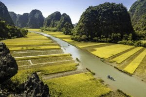 Jour 4 : Visite de Ninh Binh