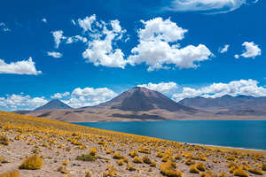 Jour 9 : A la découverte des Piedras Rojas y Lagunas Altiplanicas