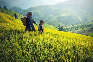 Jour 3 : De Nghia Lo à Mu Cang Chai