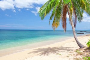 Jour 8 : Journée libre à Koh Phangan